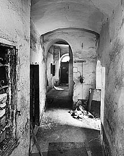 , foto: Věroslav Škrabánek , foto: Věroslav Škrabánek