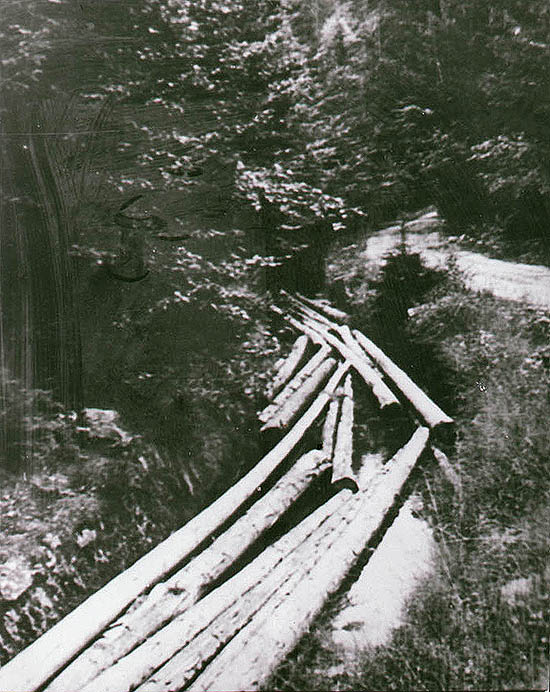 Schwarzenberg navigational canal, floating trunks through the canal corridor, historical photo
