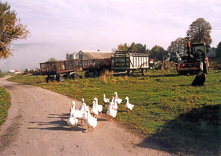 Český Krumlov area, agricultural machines and geese