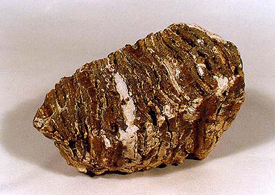 Dobrkovická cave, finding, mammoth tooth, collection of Regional Museum of National History Český Krumlov 