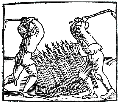 Thrashing wheat, period illustration 