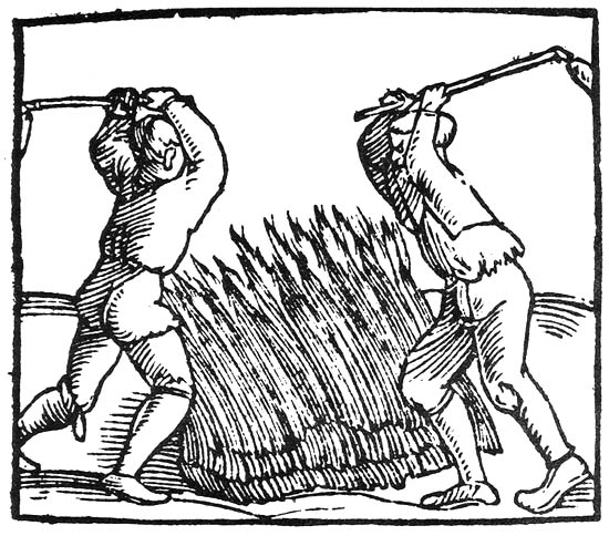 Thrashing wheat, period illustration