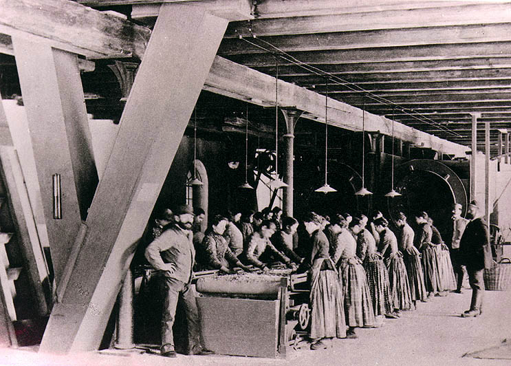 Workers in papermill Větřní, historical photo