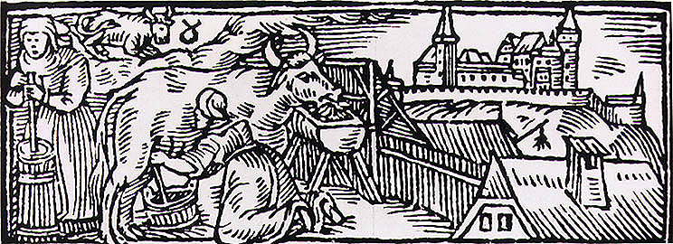 Jan Willenberg, milking and whipping butter, beginning of the 17th century