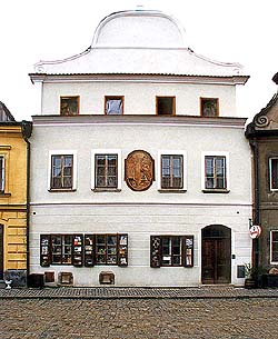 Široká no. 74, overview 