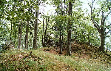 Kuklov, castle ruins 