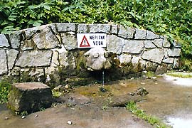 Fountain Lvíček (little lion) in Deer Gardens, condition in 1998 