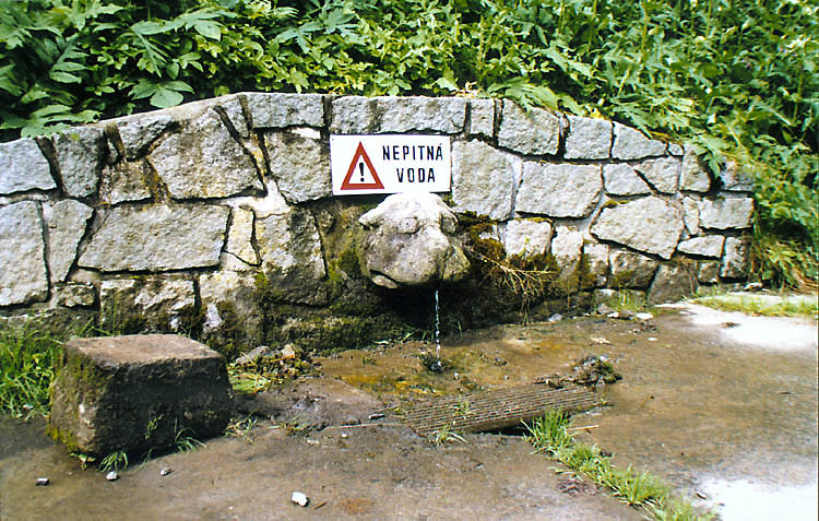 Fontána Lvíček v Jelení zahradě, stav k roku 1998