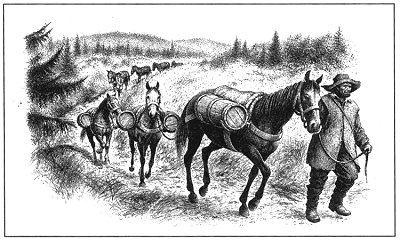 The caravan of the pack animals on 'Zlatá stezka' (The Golden trial), source: Šumavské solné stezky, Jiří Andreska, 1994, ISBN - 80 - 85285 - 55 - X 