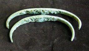 Havalda near Chvalšiny. Illustration of ribs from the depot. The Český Krumlov Local History and Geography Museum. Havalda near Chvalšiny. Illustration of ribs from the depot. The Český Krumlov Local History and Geography Museum.