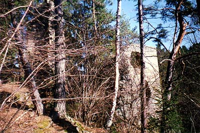 Hrádek Louzek, remains of inhabitable palace 