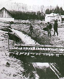 Schwarzenberg navigational canal with workers sending wood, historical photo 